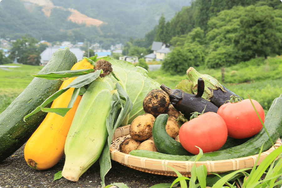 長野県の食材を堪能する